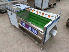 水果蔬菜气泡清洗机商用洗菜机果蔬清洗设备图2