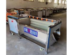 水果蔬菜气泡清洗机商用洗菜机果蔬清洗设备图3