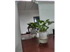 单向透视玻璃(单反玻璃,辨认室玻璃,录播室玻璃)图3