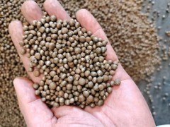 压箱配重钢丸/铁丸3-6mm 船舶/机械/体育器材专用图3