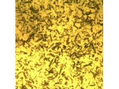 高长径比硅灰石纤维     国标认证 性能可控图5