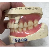 美国FDA认证义齿加工 - 深圳高端假牙种植牙出口厂家