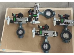 德国依博罗AU气动衬胶蝶阀Z011-A规格齐全速发货图4