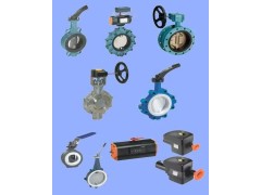 德国依博罗AU气动衬胶蝶阀Z011-A规格齐全速发货图2