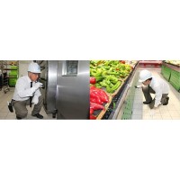 淄博灭蟑螂公司如何有效的灭蟑螂